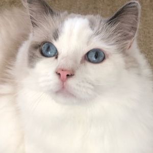 Meet your Posher, Kerry